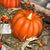 Pumpkin Motion Flame Candle | Battery Operated