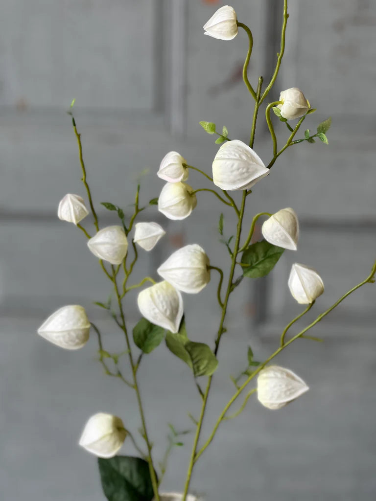 Graceful Lanterns | White