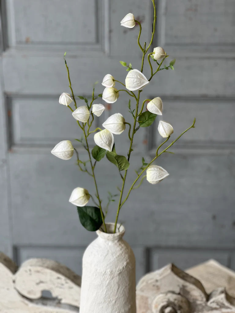 Graceful Lanterns | White