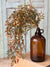 Smilax Hanging | 32"