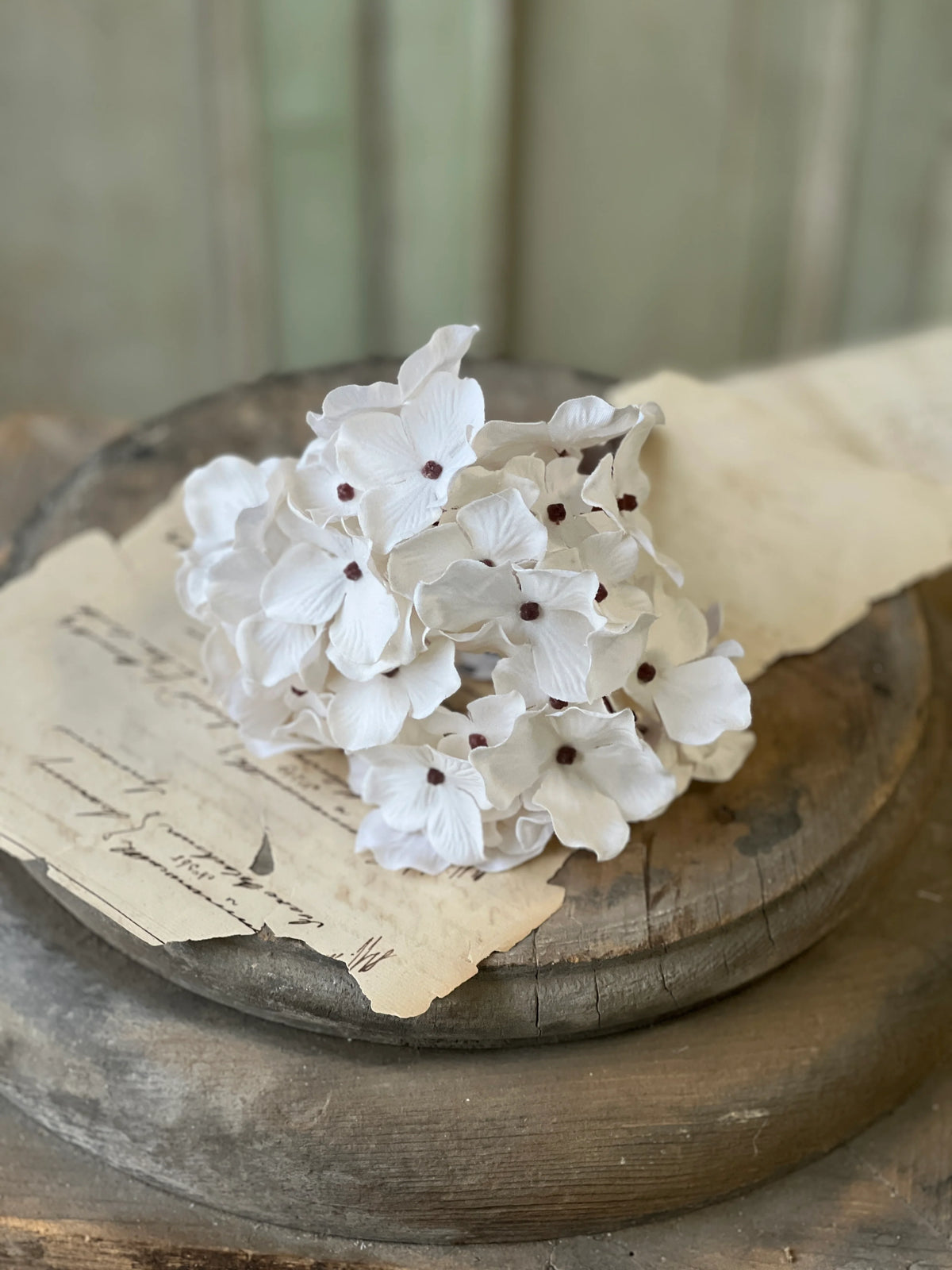 Hydrangea Bundle | Cream