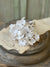 Hydrangea Bundle | Cream