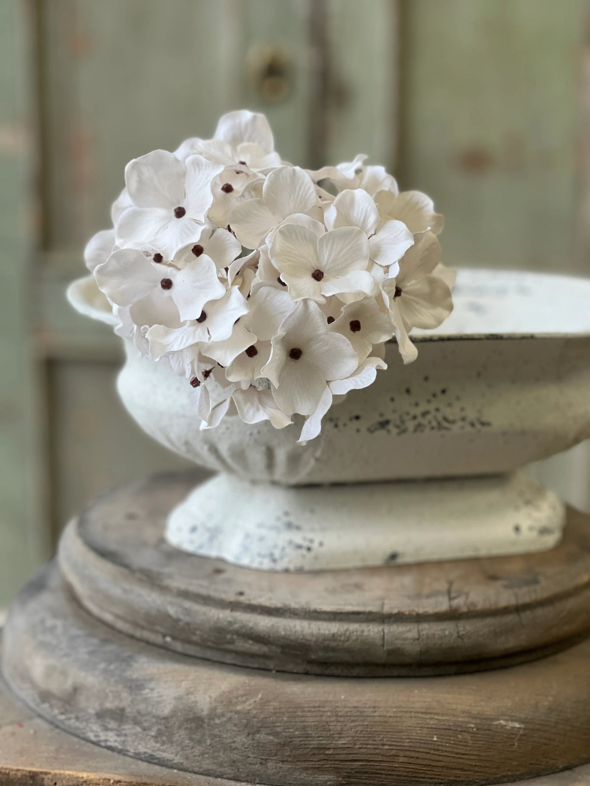 Hydrangea Bundle | Cream