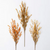 Fall Field Spray |34"