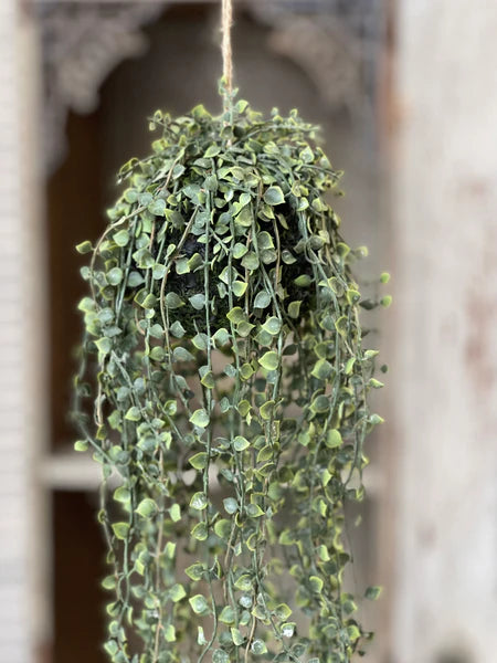 Rooted Heartstrings Vine Hanging Orb | 17"