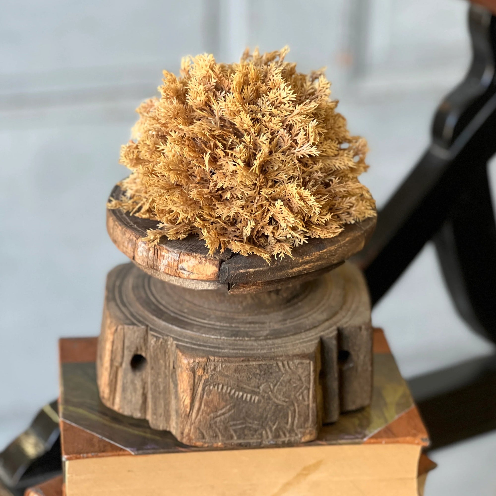 Sungold Half Sphere | 5"