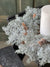 Iced Cypress Wreath | 17"