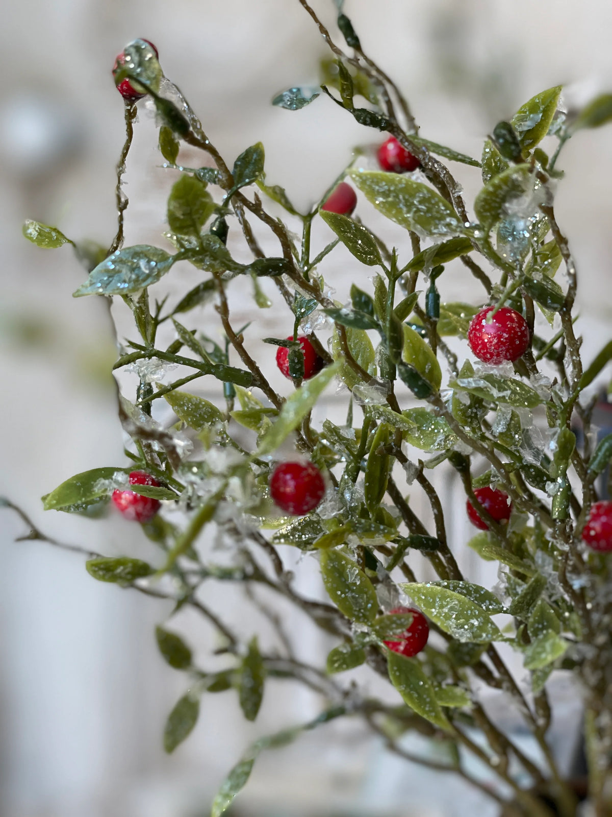 Frosted Blaze Berry Bush | Red | 11&quot;