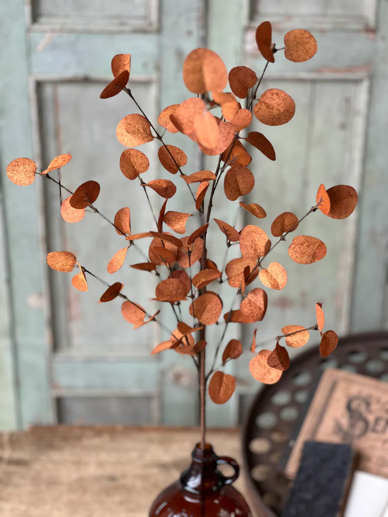 Harvest Eucalyptus Penny Leaf Stem | Burnt Orange