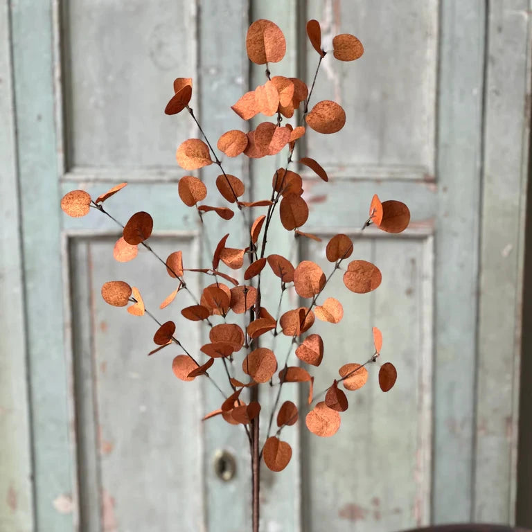 Harvest Eucalyptus Penny Leaf Stem | Burnt Orange