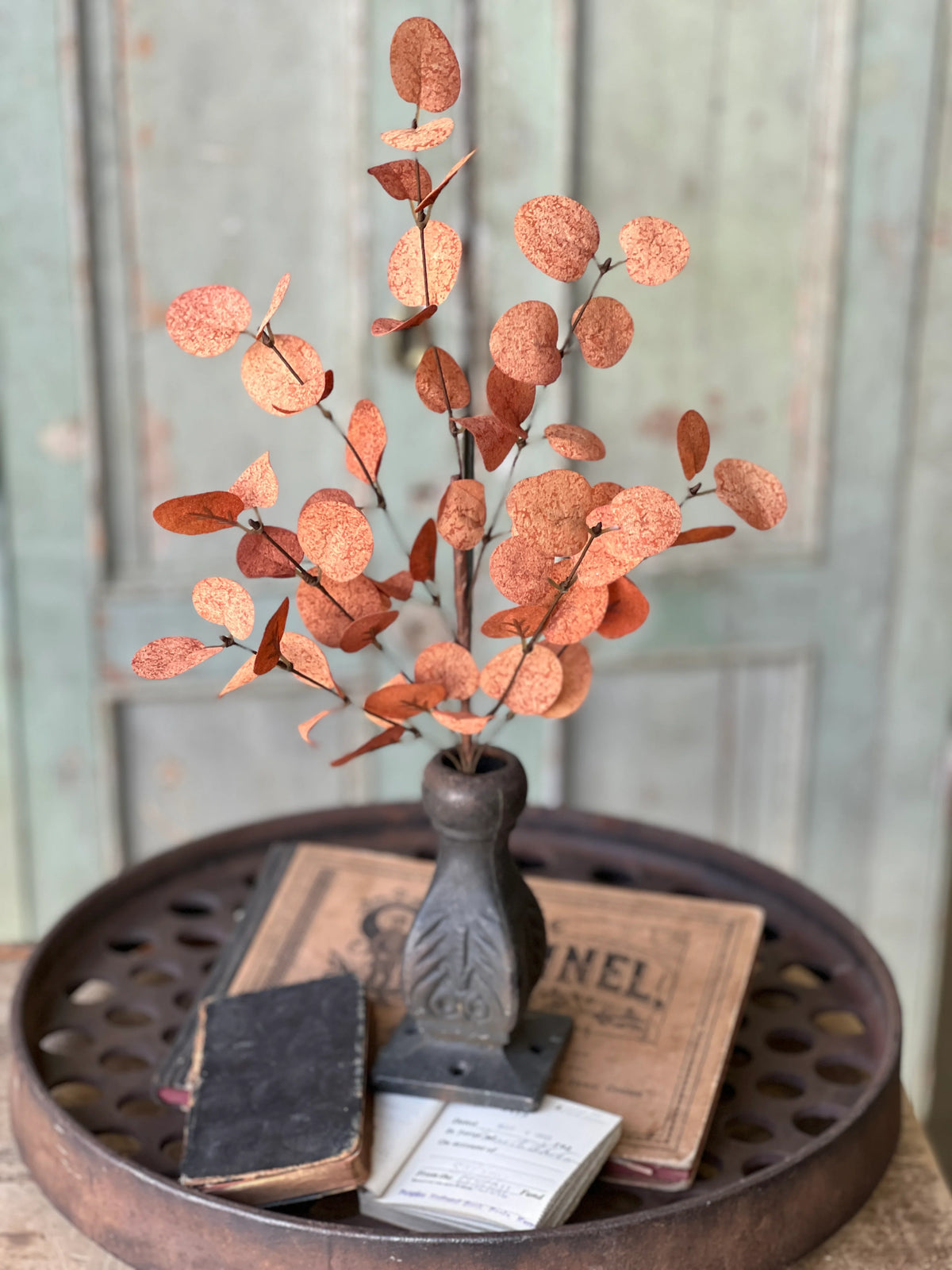 Harvest Eucalyptus Penny Leaf Stem | Burnt Orange