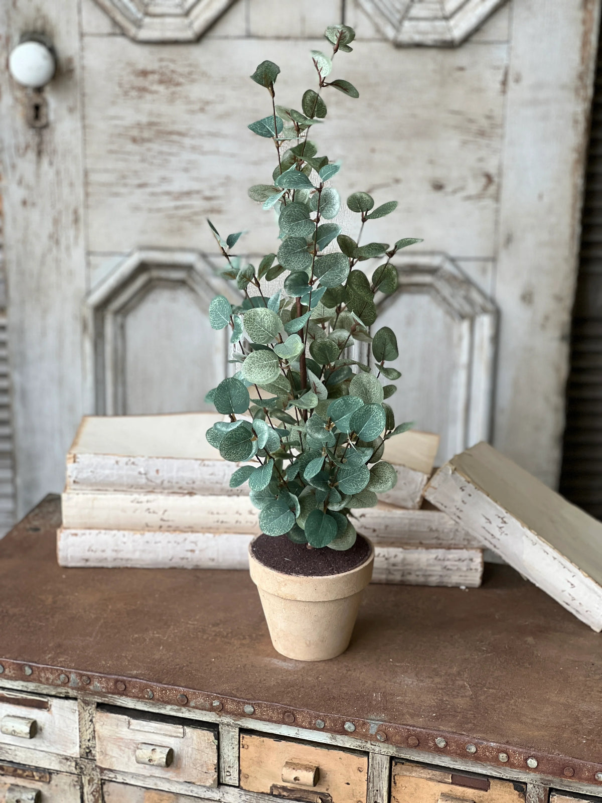 Garden Eucalyptus Potted Tree | 24-30&quot;