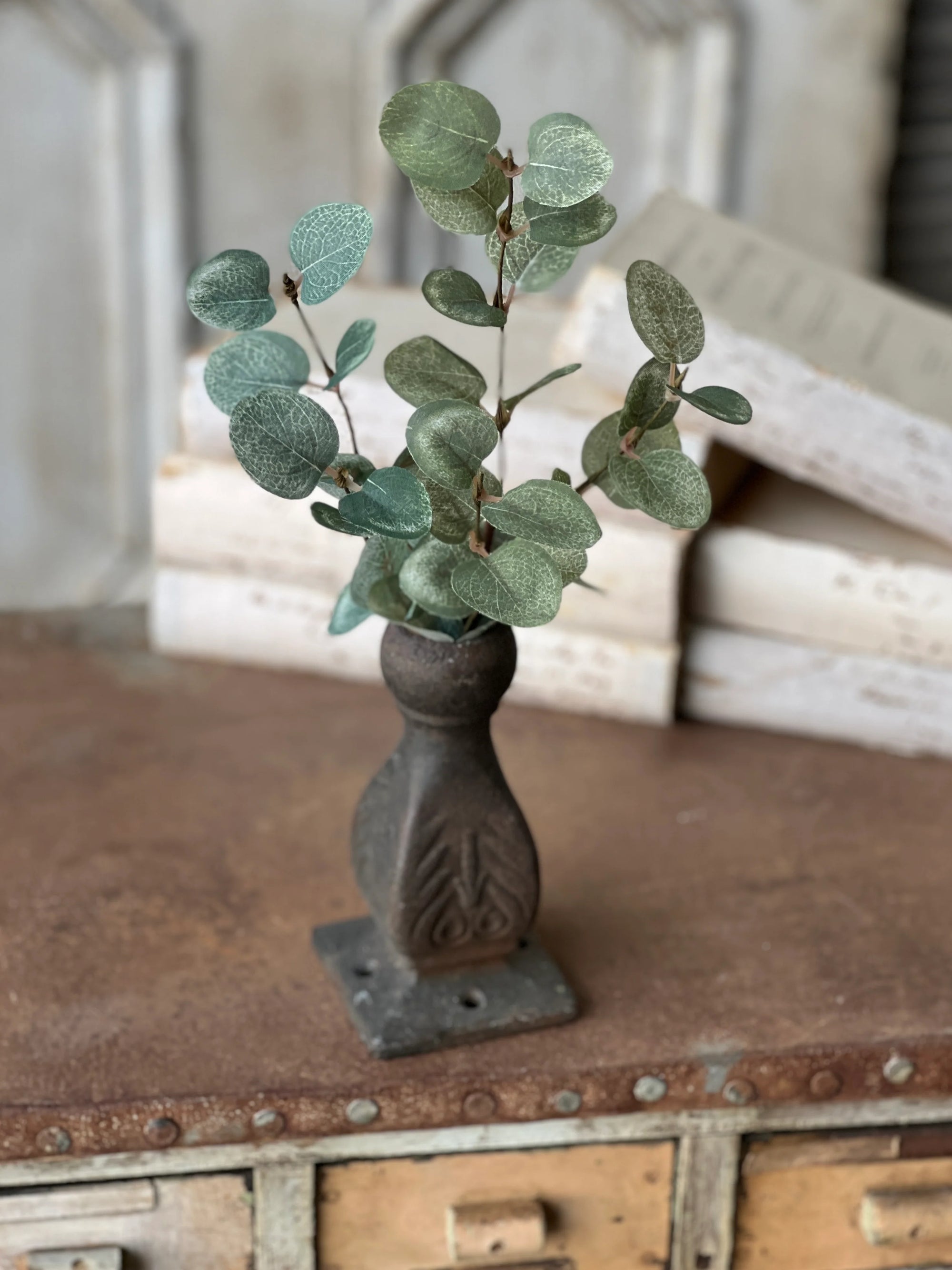 Garden Eucalyptus Stem | 14"