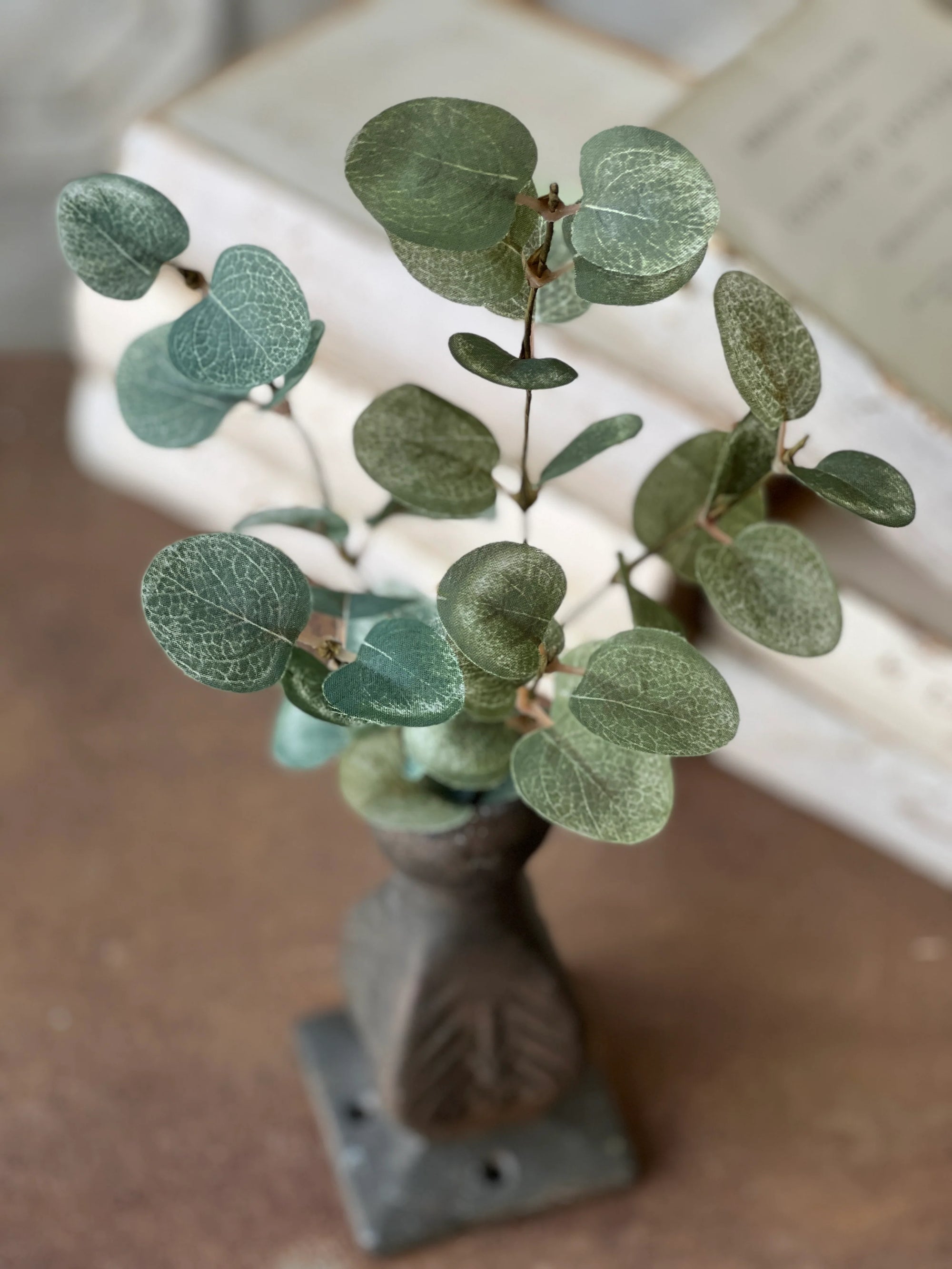 Garden Eucalyptus Stem | 14"