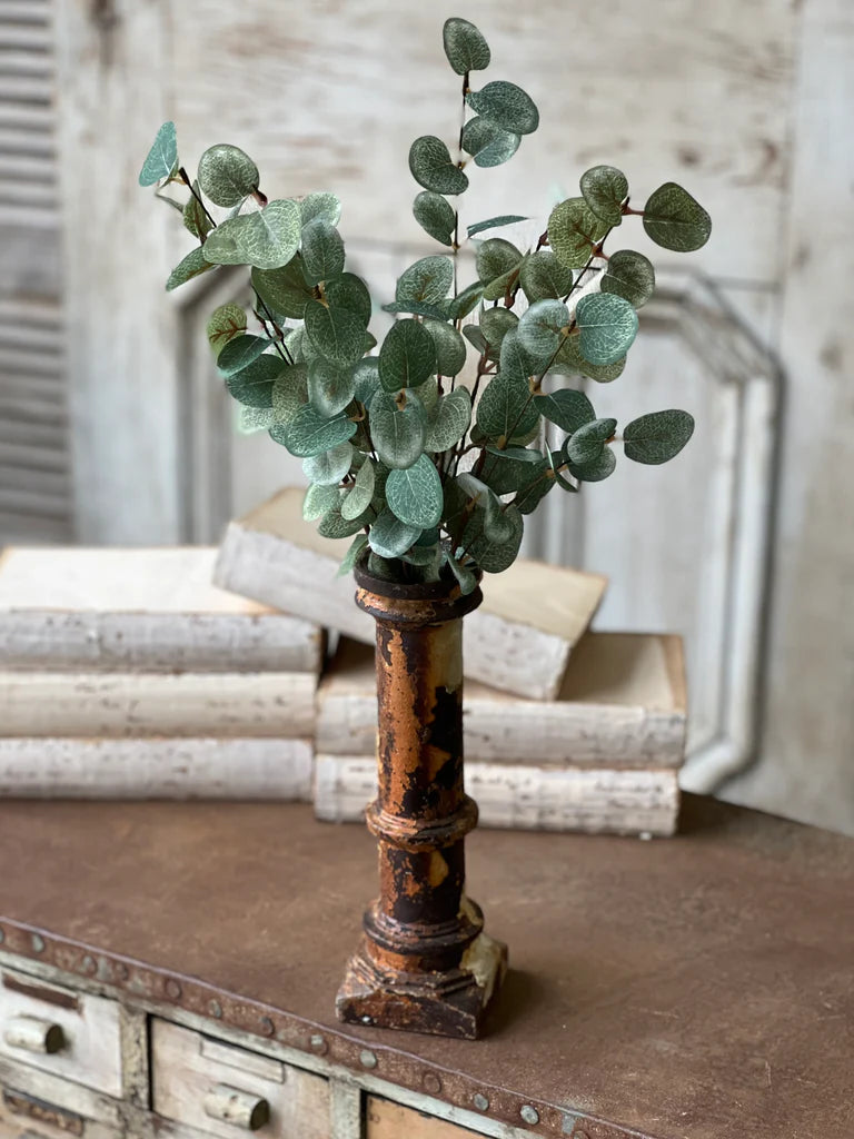 Garden Eucalyptus Candle Bush | 19"