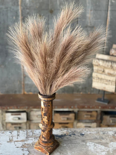 Tawny Plume Grass Bush | 24"
