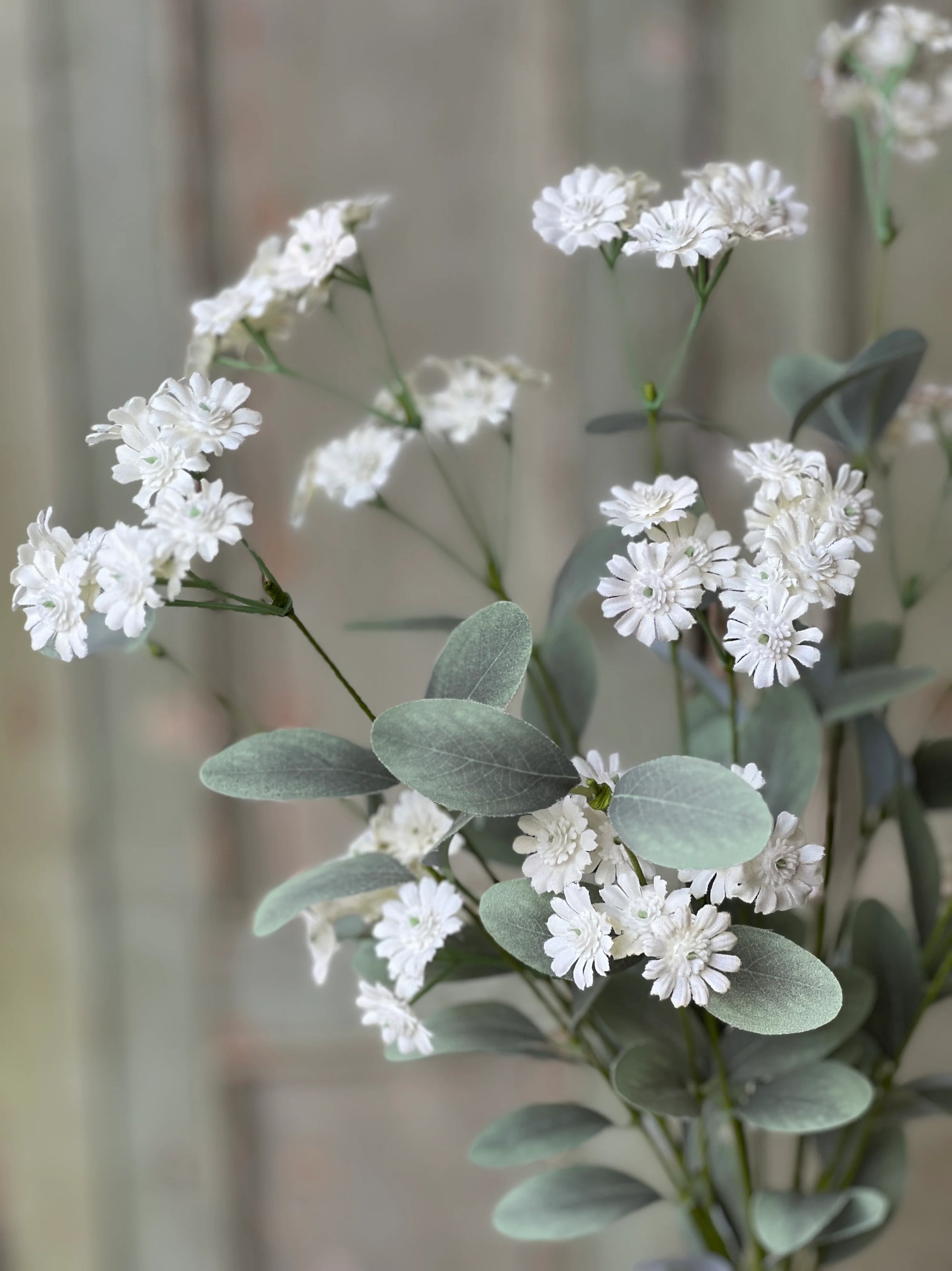 Layette Daisy Bush | 20" | Farmhouse White