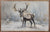 Wild Reindeer | Wall Art