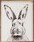 Bunny Sketch | Wall Art