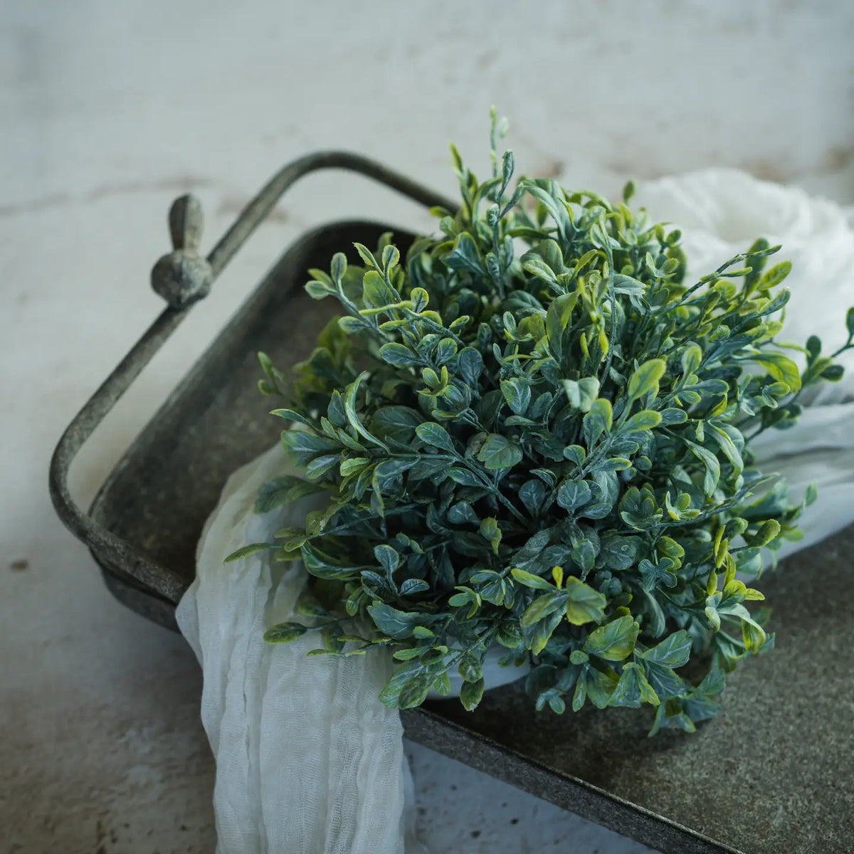 English Boxwood Half Sphere | 8&quot;