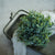 English Boxwood Half Sphere | 8"
