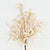 Autumn Leaves Branch | Creamy Beige