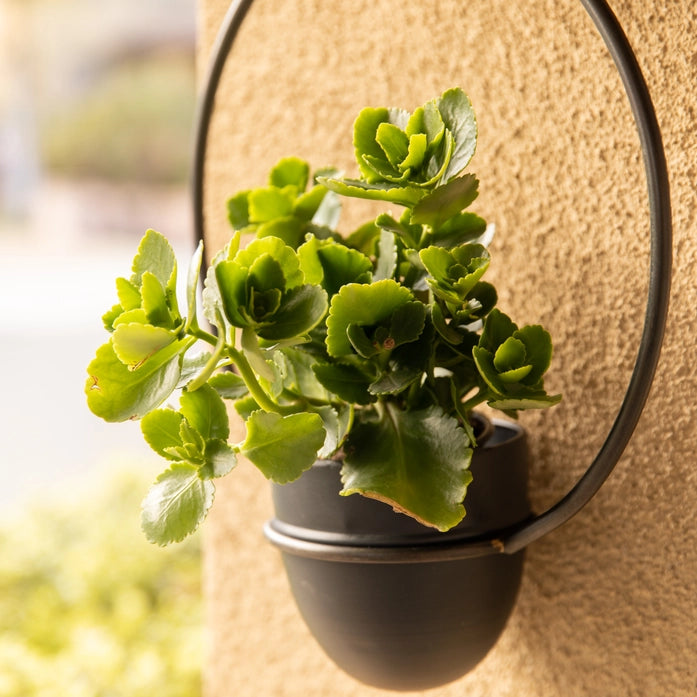 Metal Hanging Wall Planter