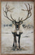 Reindeer | Wall Art