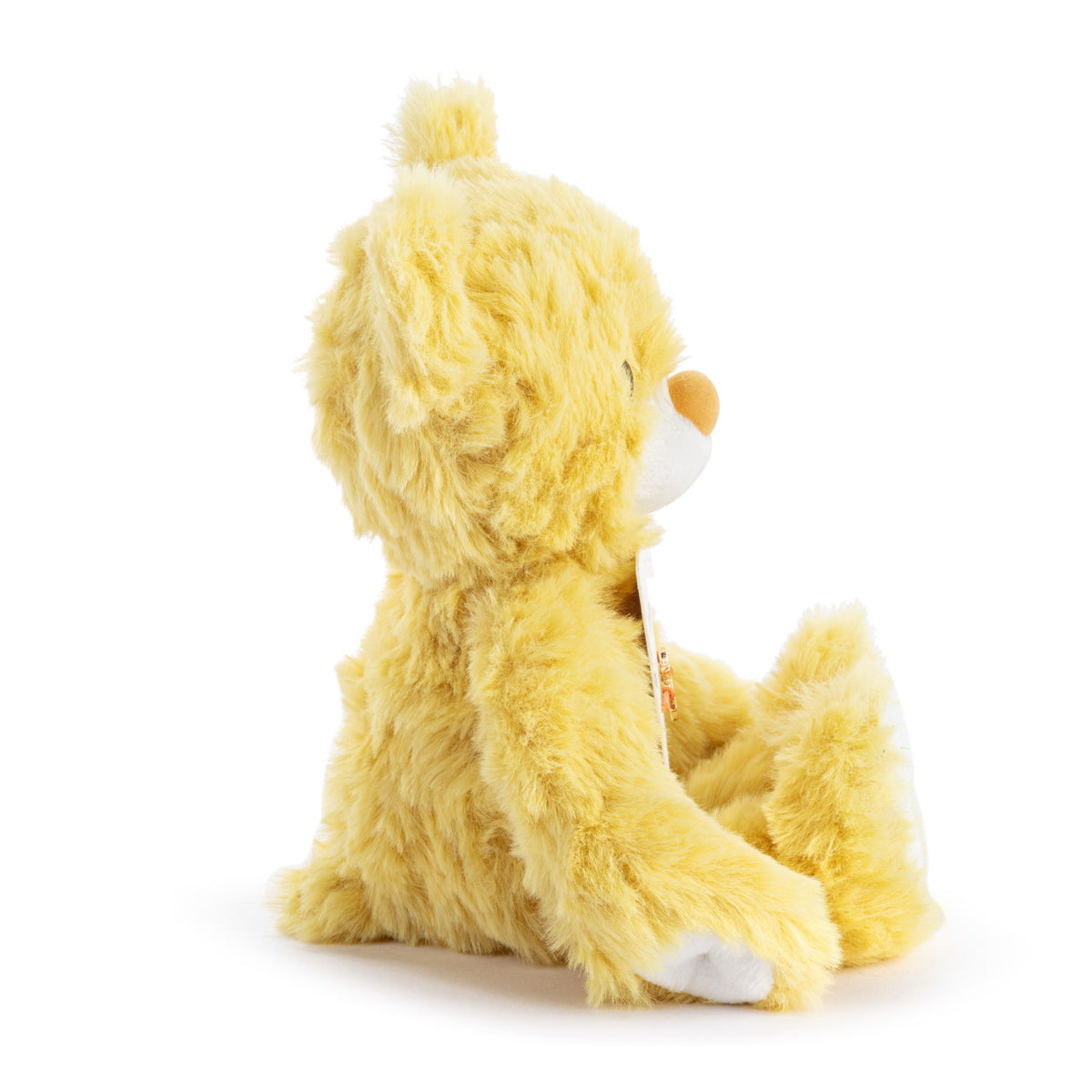 You Are My Sunshine | Bear &amp; Bracelet Set