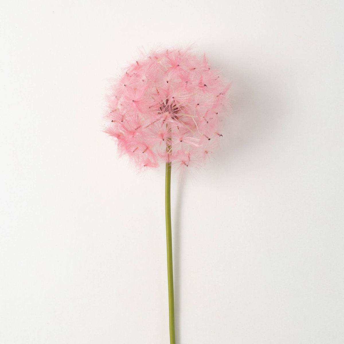 Dandelion Flower Stem | Pink | 24-32&quot;
