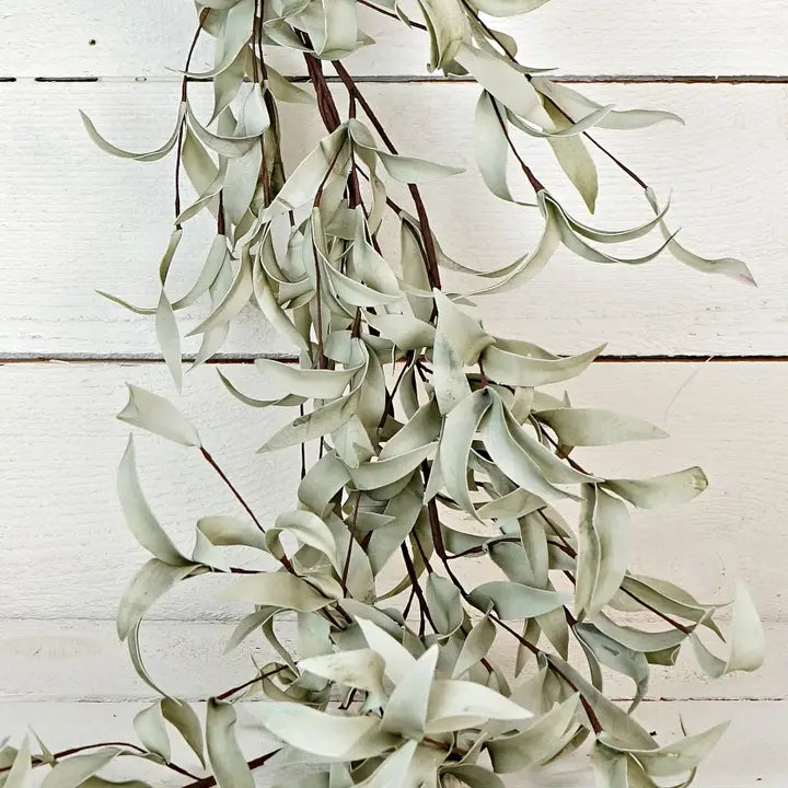 Leaves Garland | Sage