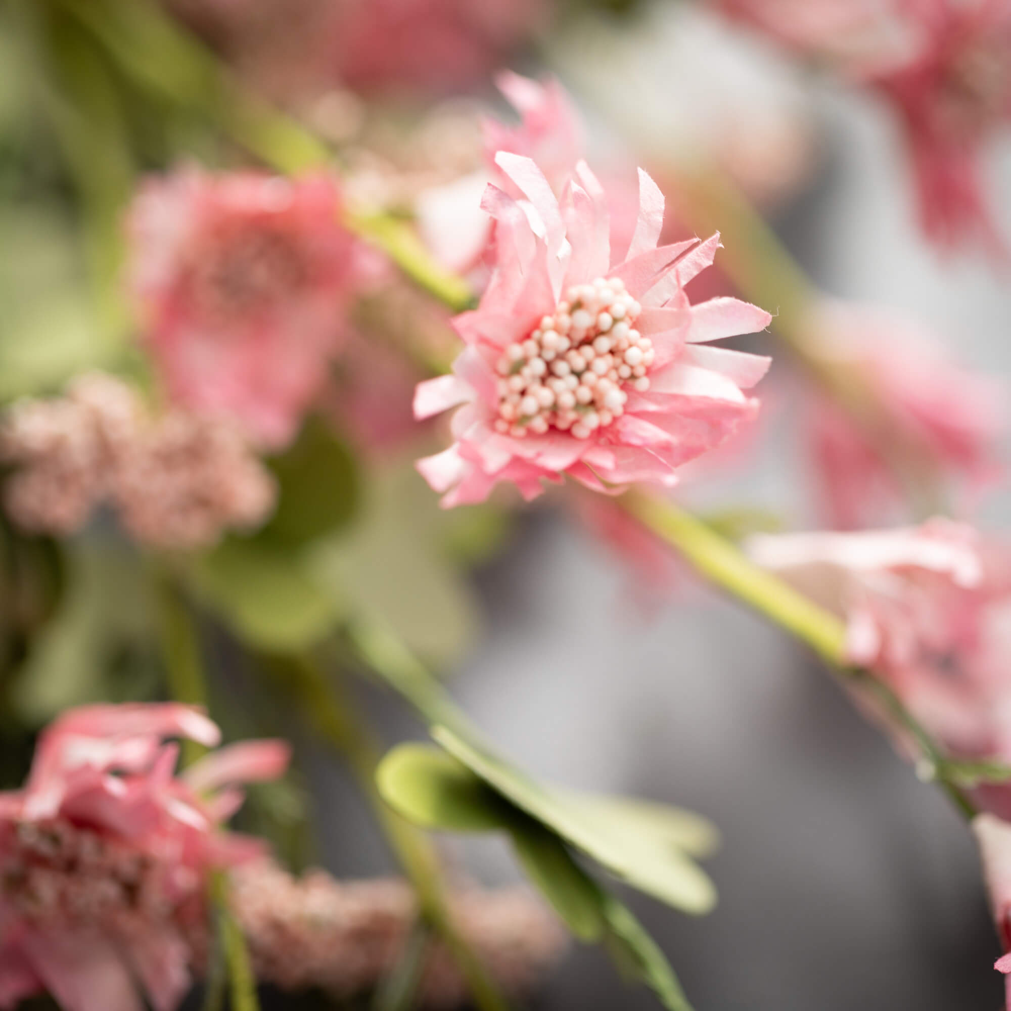 Wildflower Spray | Pink