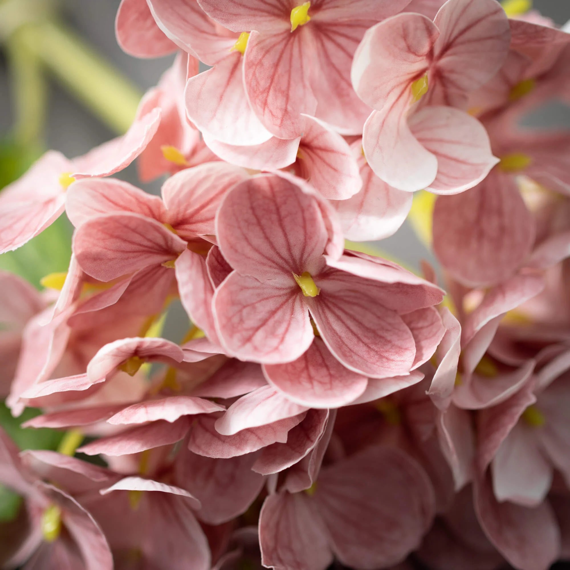 Hydrangea Stem | Pink
