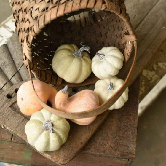 Small Pumpkins/Gourds | Fall Colors