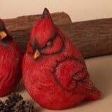 Cardinal | Red | 7.5&quot;