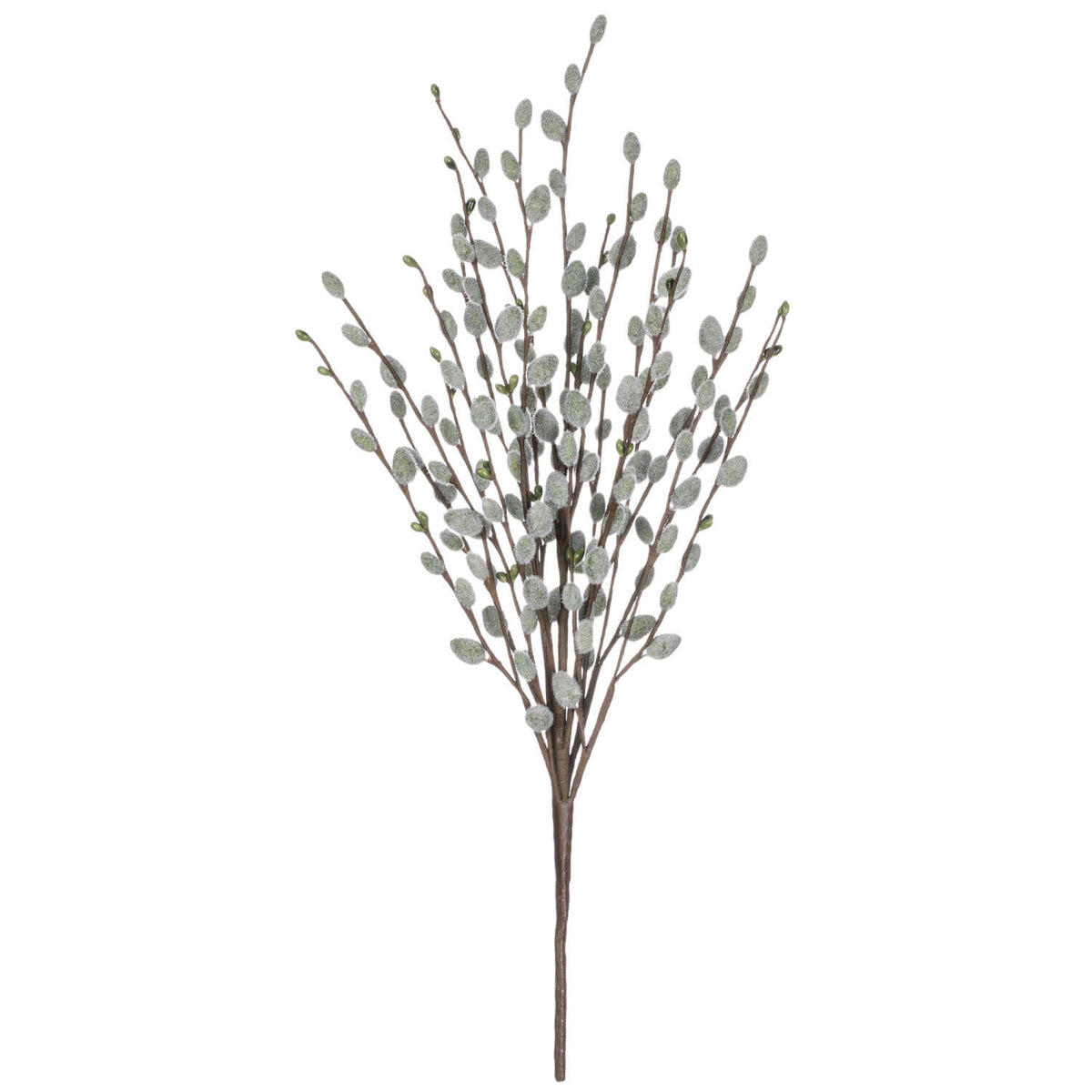 Pussywillow Branches | 19&quot;