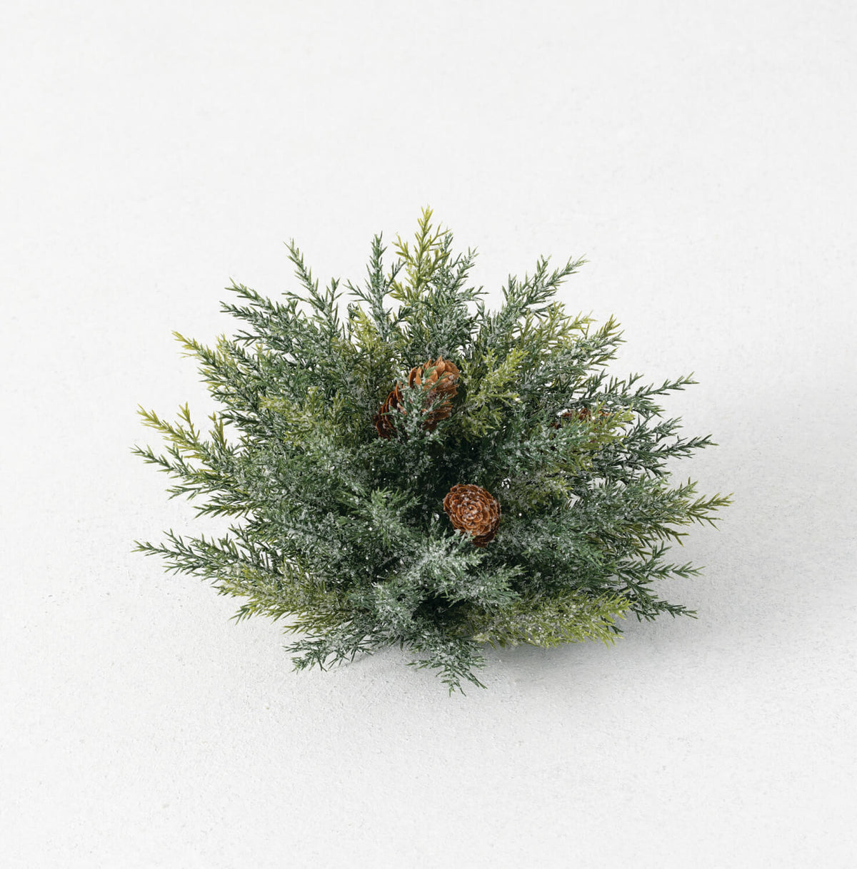 Frosted Arborvitae Half Sphere | 9&quot;