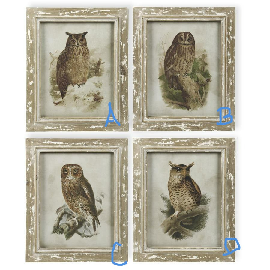 Owl Print | Framed Wall Art