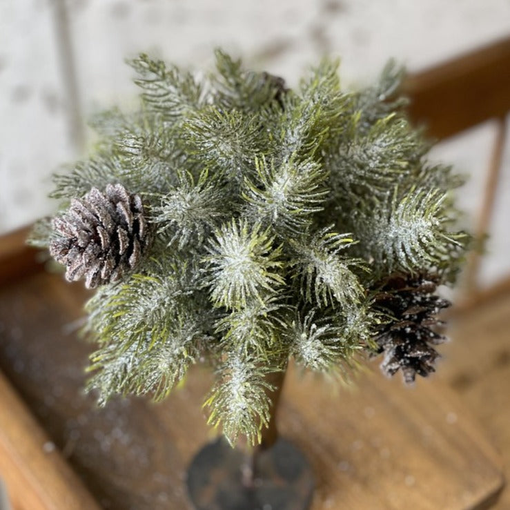 Icy Aspen Pine Half Sphere | 7&quot;