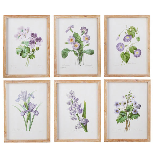 Purple Floral Framed Prints | 15.75&quot;