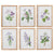 Purple Floral Framed Prints | 15.75"
