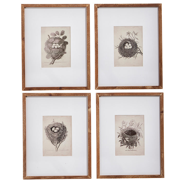 Nest Framed Prints | 16&quot;