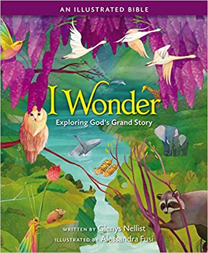 I Wonder: Exploring God&#39;s Grand Story