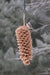 Birdseed | Large Pinecone