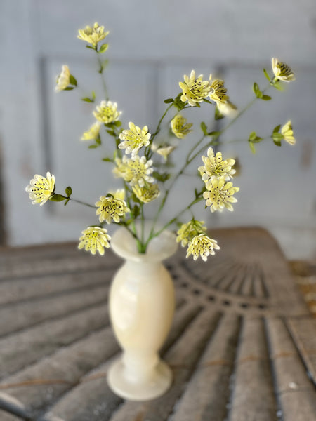 Floret Blooms