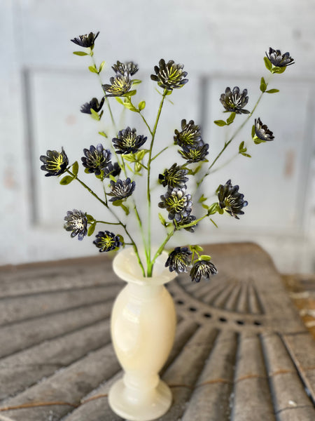 Floret Blooms