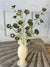 Floret Blooms