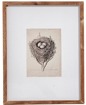 Nest Framed Prints | 16&quot;
