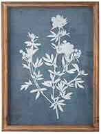 Botanical Framed Print | 16&quot;