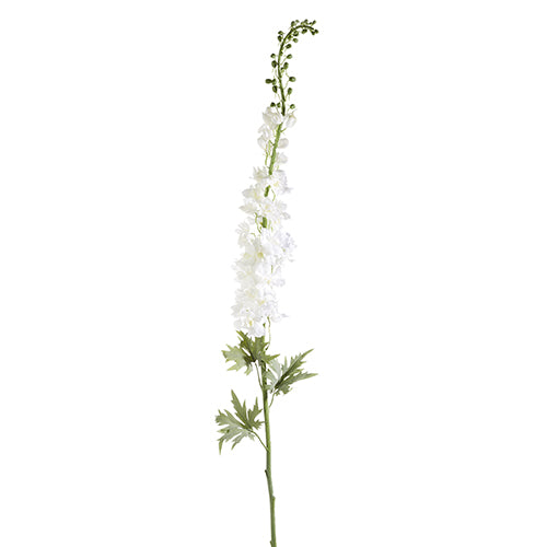 Delphinium Stem | White